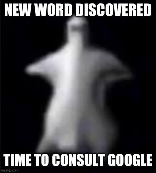 NEW WORD DISCOVERED TIME TO CONSULT GOOGLE | image tagged in spooki | made w/ Imgflip meme maker
