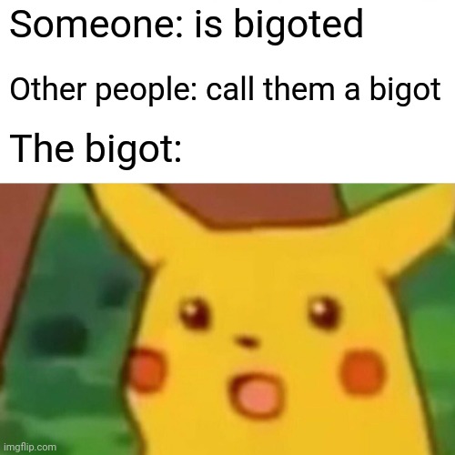 Surprised Pikachu | Someone: is bigoted; Other people: call them a bigot; The bigot: | image tagged in memes,surprised pikachu | made w/ Imgflip meme maker