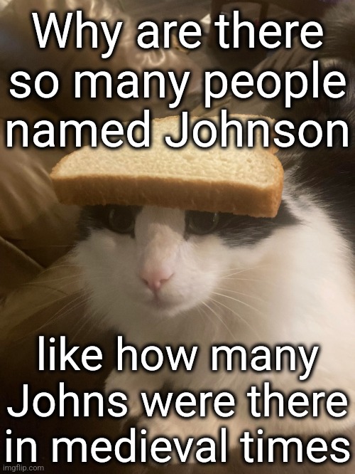 bread cat | Why are there so many people named Johnson; like how many Johns were there in medieval times | image tagged in bread cat | made w/ Imgflip meme maker