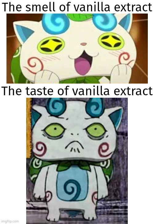 Never. Taste. Vanilla. Extract. | The smell of vanilla extract; The taste of vanilla extract | image tagged in memes,funny,vanilla extract | made w/ Imgflip meme maker