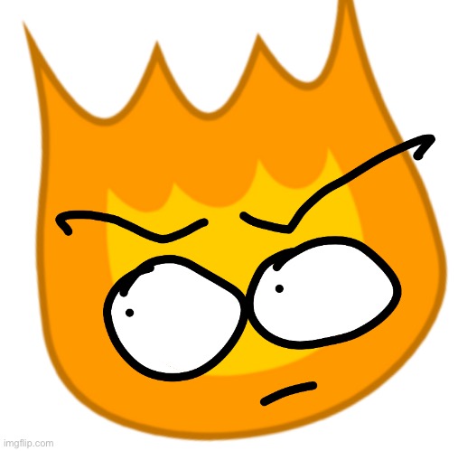 Firey Says What Have You Done | image tagged in firey says what have you done | made w/ Imgflip meme maker