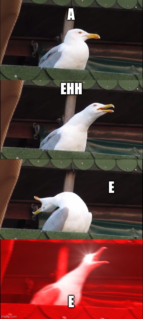 ROSH E | A; EHH; E; E | image tagged in memes,inhaling seagull | made w/ Imgflip meme maker