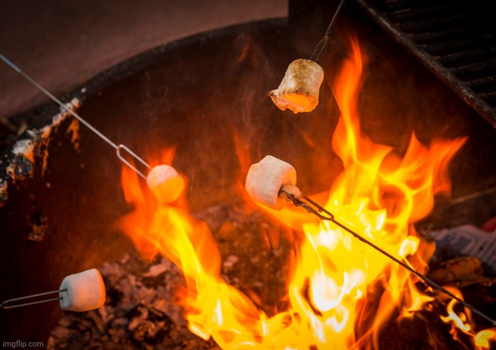 Roasting marshmallows | image tagged in roasting marshmallows | made w/ Imgflip meme maker