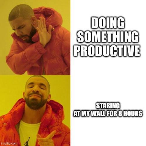 Drake Blank | DOING SOMETHING PRODUCTIVE; STARING AT MY WALL FOR 8 HOURS | image tagged in drake blank | made w/ Imgflip meme maker