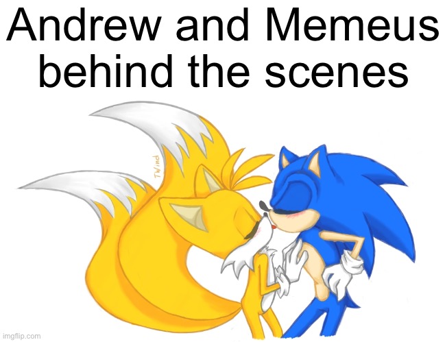 Sonic And Tails Kiss | Andrew and Memeus behind the scenes | image tagged in sonic and tails kiss | made w/ Imgflip meme maker