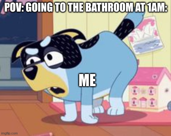 hope you like this meme | POV: GOING TO THE BATHROOM AT 1AM:; ME | image tagged in daddy walrus | made w/ Imgflip meme maker