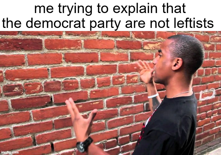 I'm a leftist. They are not | me trying to explain that the democrat party are not leftists | image tagged in talking to wall,socialism,left wing,leftist,democrat party,democratic party | made w/ Imgflip meme maker