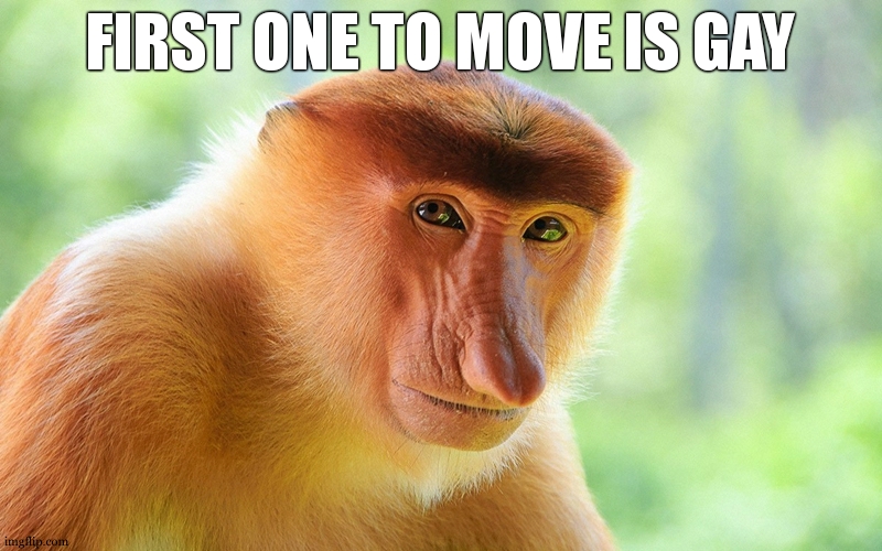 "huh, im gay now" | FIRST ONE TO MOVE IS GAY | image tagged in nosacz monkey | made w/ Imgflip meme maker
