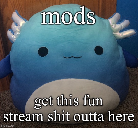 squishy | mods get this fun stream shit outta here | image tagged in squishy | made w/ Imgflip meme maker