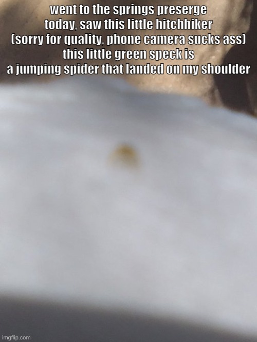 we let him get onto a wall before we went into any other buildings | went to the springs preserge today, saw this little hitchhiker
(sorry for quality, phone camera sucks ass)
this little green speck is a jumping spider that landed on my shoulder | made w/ Imgflip meme maker