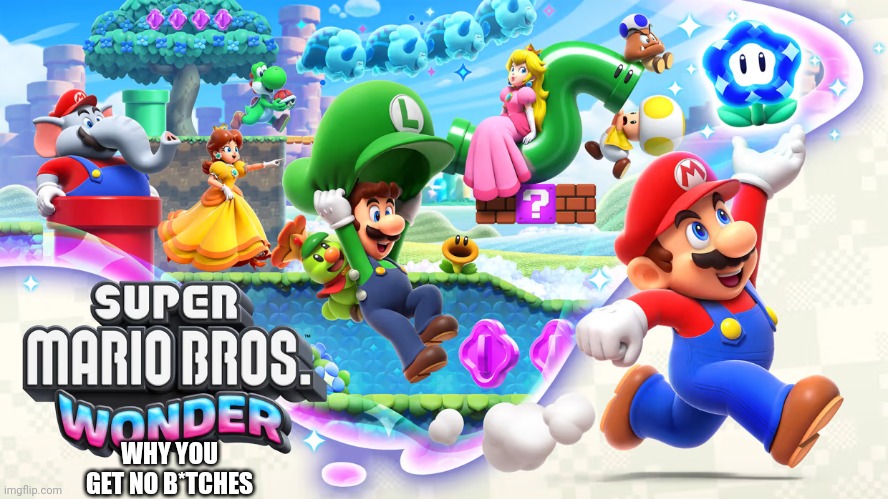 Super Mario Bros.™ Wonder | WHY YOU GET NO B*TCHES | image tagged in super mario bros wonder | made w/ Imgflip meme maker