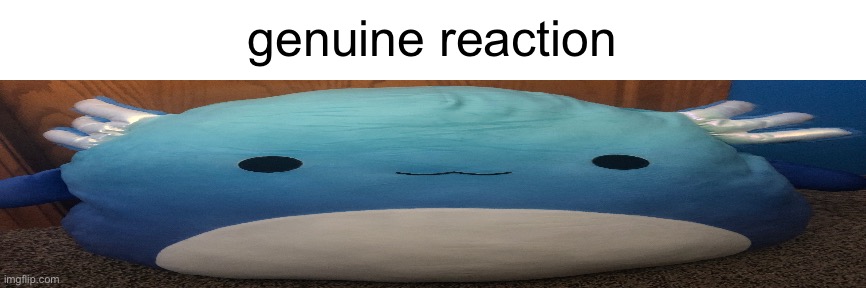 genuine reaction | made w/ Imgflip meme maker
