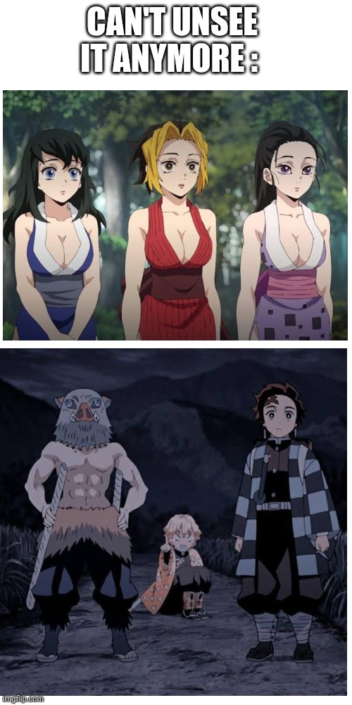 They thought we won't notice | CAN'T UNSEE IT ANYMORE : | image tagged in demon slayer | made w/ Imgflip meme maker