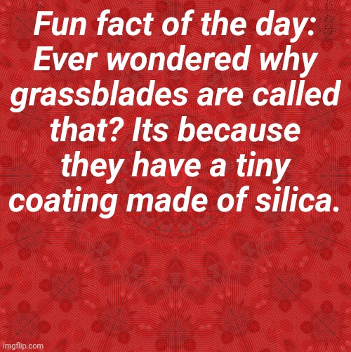daily(ish) fun fact! | Fun fact of the day:

Ever wondered why grassblades are called that? Its because they have a tiny coating made of silica. | image tagged in a | made w/ Imgflip meme maker