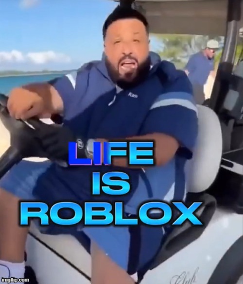 Life is Roblox | image tagged in life is roblox | made w/ Imgflip meme maker