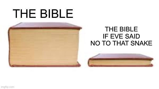 Imagine life now | THE BIBLE IF EVE SAID NO TO THAT SNAKE; THE BIBLE | image tagged in big book small book,bible,adam and eve,snake | made w/ Imgflip meme maker