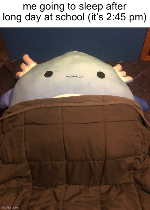 real | me going to sleep after long day at school (it’s 2:45 pm) | made w/ Imgflip meme maker