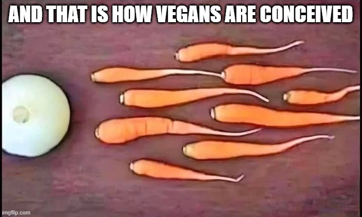 Vegan Birth | AND THAT IS HOW VEGANS ARE CONCEIVED | image tagged in sex jokes | made w/ Imgflip meme maker