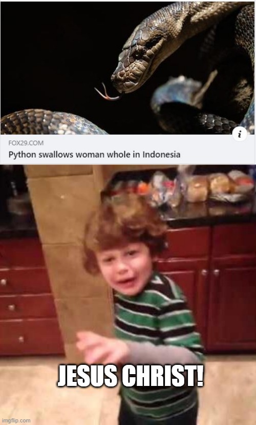 Python Meal | JESUS CHRIST! | image tagged in jesus christ kid | made w/ Imgflip meme maker