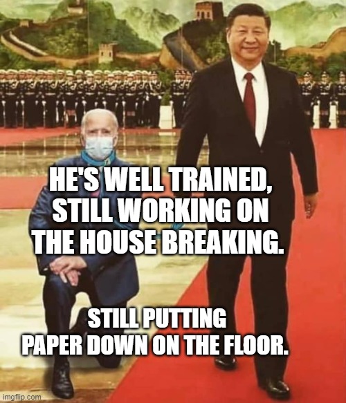 China Biden | HE'S WELL TRAINED, STILL WORKING ON THE HOUSE BREAKING. STILL PUTTING PAPER DOWN ON THE FLOOR. | image tagged in china biden | made w/ Imgflip meme maker