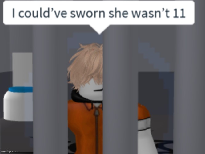 Aaron could've sworn she wasn't 11 | image tagged in fun,funny,robox,roblox meme,pc gaming,jail | made w/ Imgflip meme maker