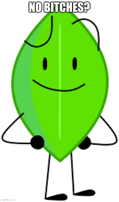 leafy?? | NO BITCHES? | image tagged in bfdi,leafy | made w/ Imgflip meme maker