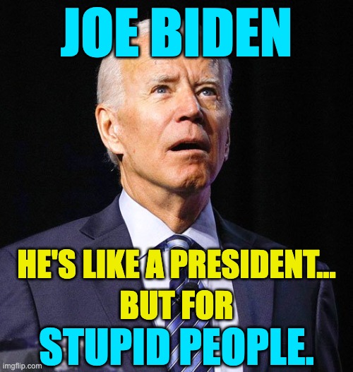 A political party who had the choice of several lucid, albeit insane, candidates who goes for the senile one TWICE is stupid. | JOE BIDEN; HE'S LIKE A PRESIDENT... BUT FOR; STUPID PEOPLE. | image tagged in joe biden,the president for stupid people | made w/ Imgflip meme maker