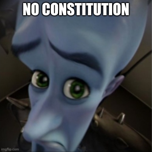Megamind peeking | NO CONSTITUTION | image tagged in megamind peeking | made w/ Imgflip meme maker