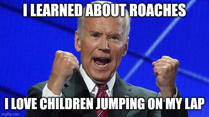 Joe Biden fists angry | I LEARNED ABOUT ROACHES; I LOVE CHILDREN JUMPING ON MY LAP | image tagged in joe biden fists angry | made w/ Imgflip meme maker