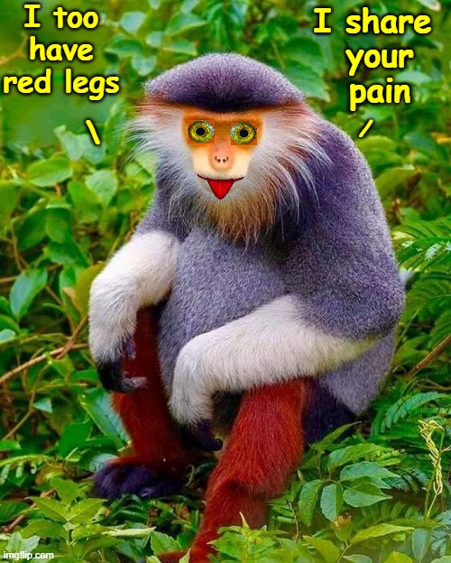 I too have red legs I share 
your
pain / \ | made w/ Imgflip meme maker