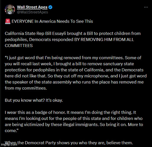 More proof of democrats protecting pedophiles... | image tagged in removed from committees by democrats | made w/ Imgflip meme maker