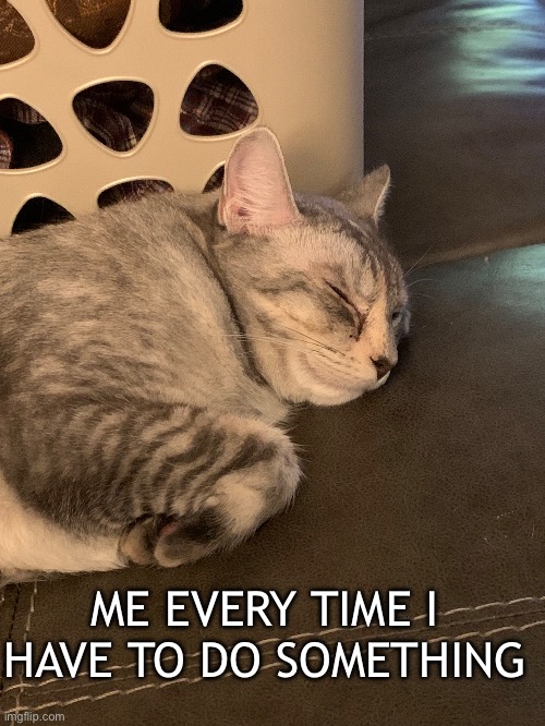 Lazy | ME EVERY TIME I HAVE TO DO SOMETHING | image tagged in cat,lazy | made w/ Imgflip meme maker