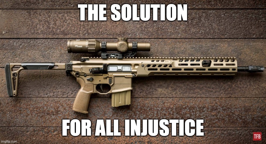 Second Amendment's purpose in a nutshell | THE SOLUTION; FOR ALL INJUSTICE | image tagged in america,patriotic,human rights,badass,based | made w/ Imgflip meme maker