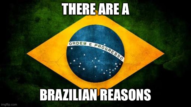 Brazil flag | THERE ARE A BRAZILIAN REASONS | image tagged in brazil flag | made w/ Imgflip meme maker