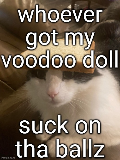 . | whoever got my voodoo doll; suck on tha ballz | image tagged in bread cat | made w/ Imgflip meme maker