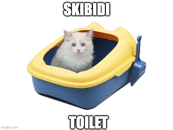 skibidi cat | SKIBIDI; TOILET | image tagged in blank white template | made w/ Imgflip meme maker