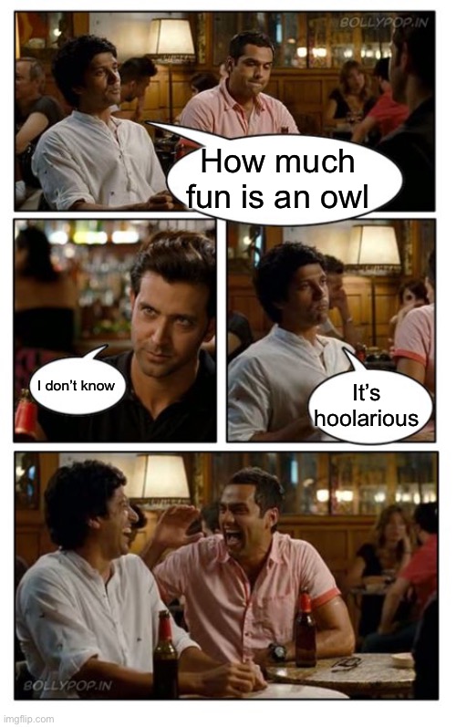 ZNMD Meme | How much  fun is an owl; I don’t know; It’s hoolarious | image tagged in memes,znmd | made w/ Imgflip meme maker