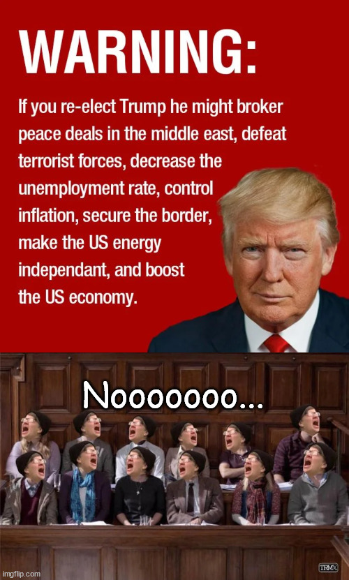 Rigging juries... it's what election stealing democrats do... | Nooooooo... | image tagged in how dare america decide,dems hate america | made w/ Imgflip meme maker