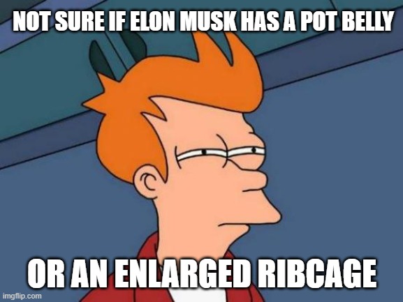 ERIC CARTMAN: He's not fat! He's big-boned! Or is he? | NOT SURE IF ELON MUSK HAS A POT BELLY; OR AN ENLARGED RIBCAGE | image tagged in memes,futurama fry,elon musk,body,torso,so yeah | made w/ Imgflip meme maker