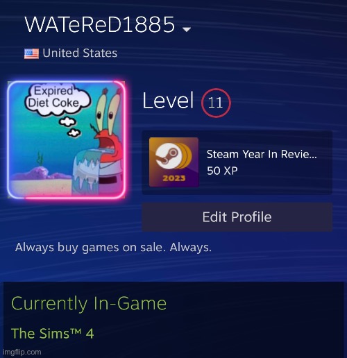 I let my sister use my Steam account and she’s playing Sims 4.  E | made w/ Imgflip meme maker