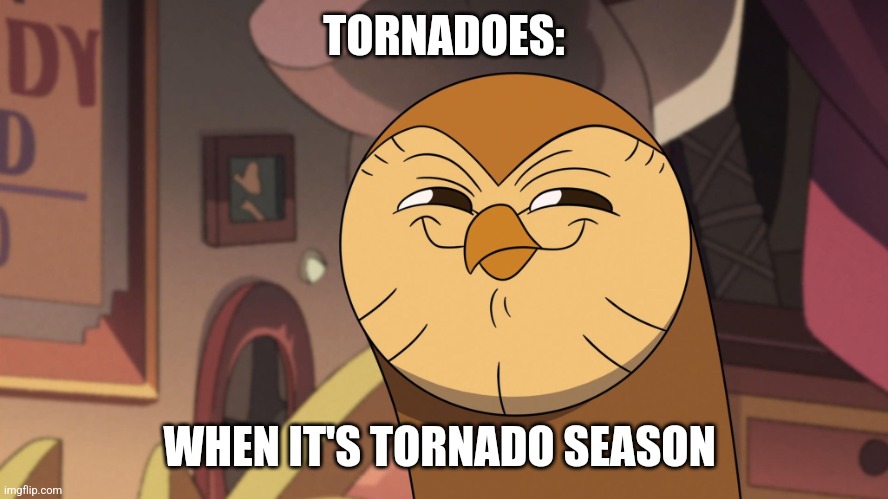 It's tornado season! | TORNADOES:; WHEN IT'S TORNADO SEASON | image tagged in hooty smirks,weather,jpfan102504,relatable | made w/ Imgflip meme maker