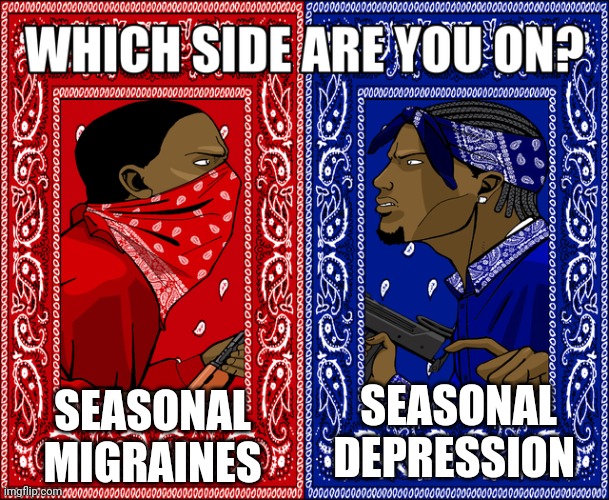 WHICH SIDE ARE YOU ON? | SEASONAL MIGRAINES SEASONAL DEPRESSION | image tagged in which side are you on | made w/ Imgflip meme maker