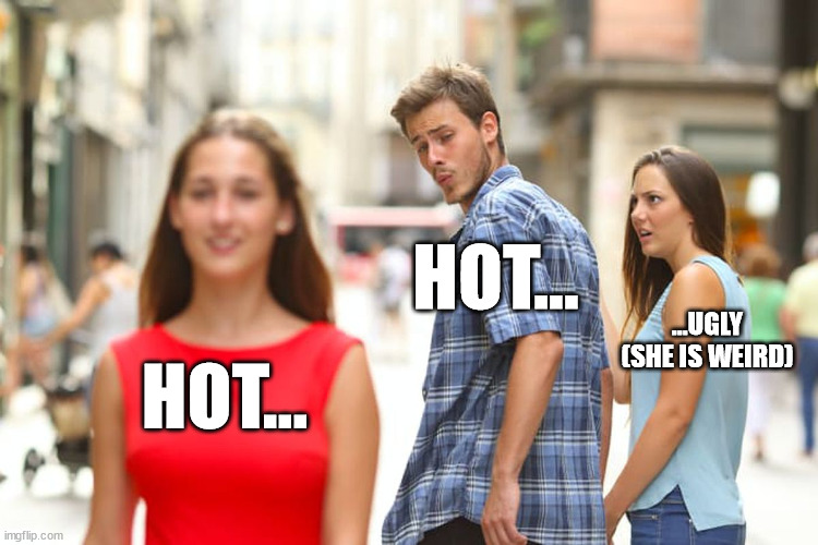 (whistle) | HOT... ...UGLY (SHE IS WEIRD); HOT... | image tagged in memes,distracted boyfriend | made w/ Imgflip meme maker