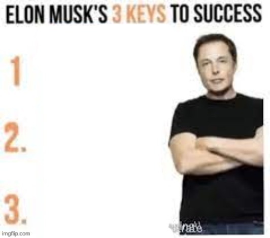 Elon musks three keys to success | image tagged in elon musks three keys to success | made w/ Imgflip meme maker