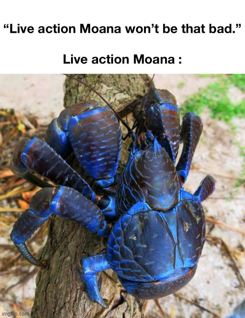 *Crab noises* | image tagged in memes,funny,moana,disney,lol | made w/ Imgflip meme maker