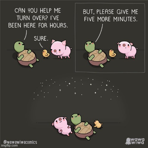 image tagged in pig,chick,turtle,stargazing | made w/ Imgflip meme maker