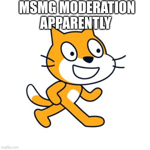 If you know you know | MSMG MODERATION APPARENTLY | image tagged in scratch cat | made w/ Imgflip meme maker