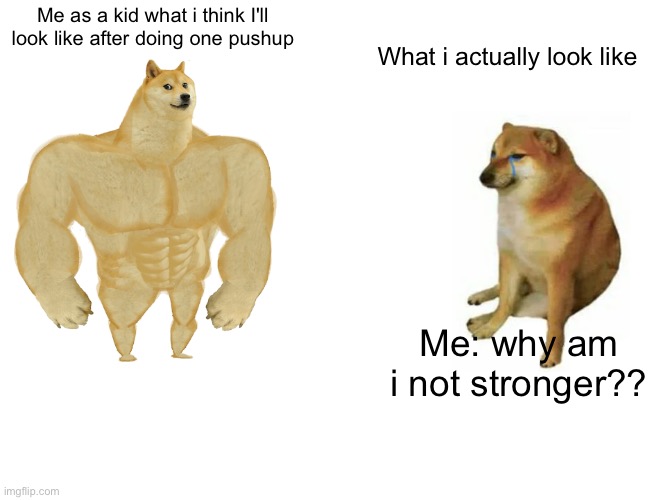 Buff Doge vs. Cheems | Me as a kid what i think I'll look like after doing one pushup; What i actually look like; Me: why am i not stronger?? | image tagged in memes,buff doge vs cheems | made w/ Imgflip meme maker