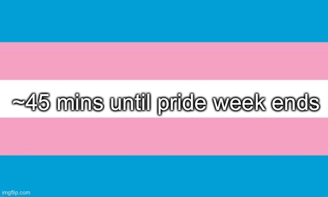 then back to the blank temp | ~45 mins until pride week ends | image tagged in transgender flag | made w/ Imgflip meme maker