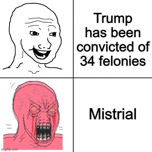 Fleeting | Trump has been convicted of 34 felonies; Mistrial | image tagged in happy vs angry wojak | made w/ Imgflip meme maker